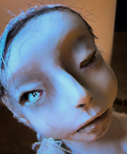 Load image into Gallery viewer, Boundling No 1-The One Who Tried to Leave, But Rooted Instead